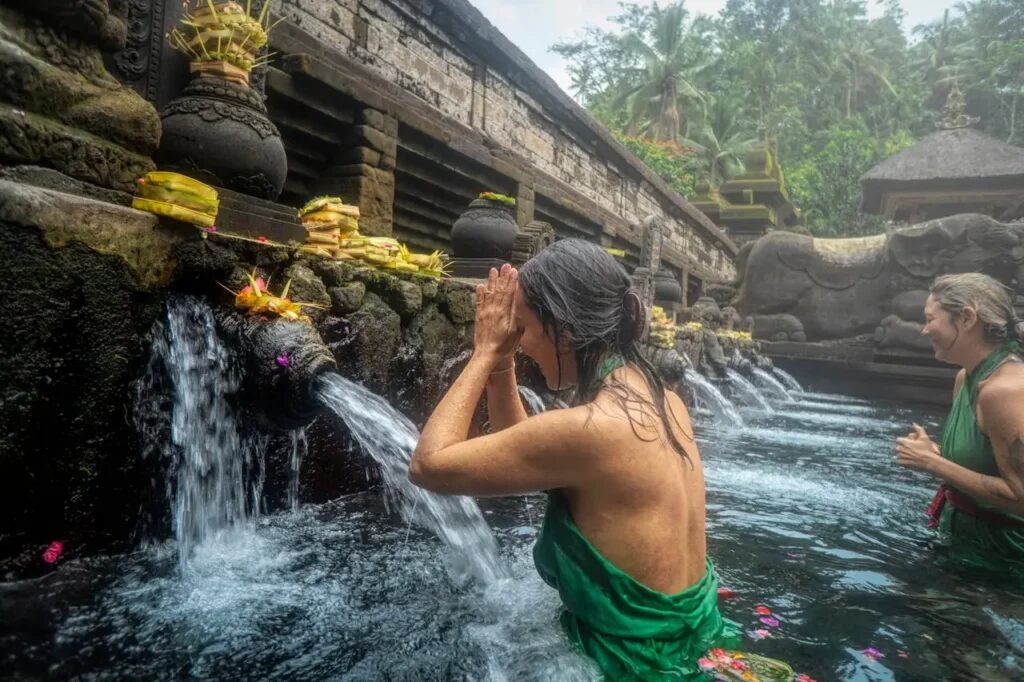 bali wellness tourism