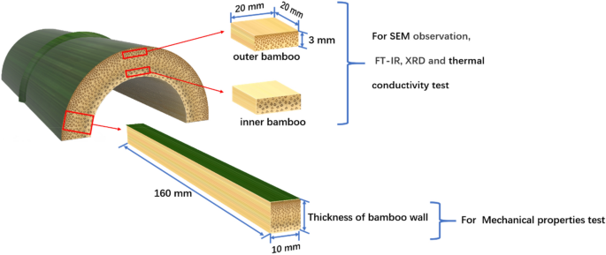 Key Features of Bamboo