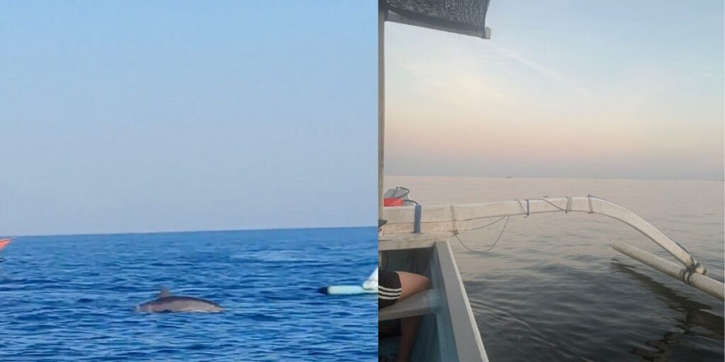 Watching dolphin in Lovina