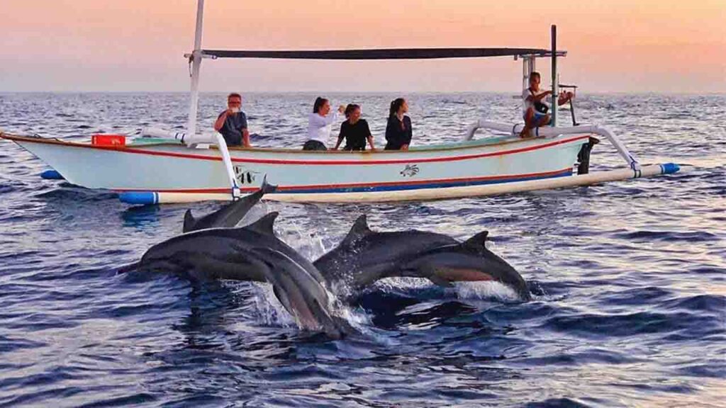 what to do in lovina