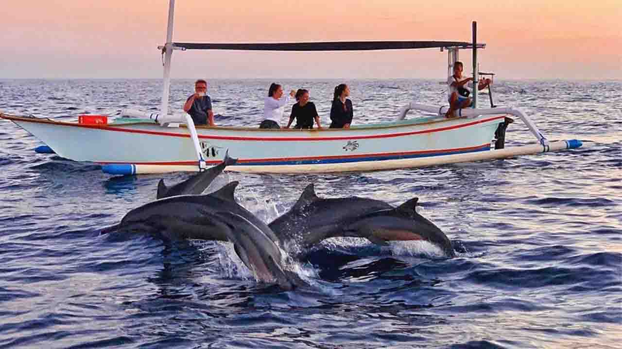 what to do in lovina