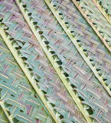 palm fronds traditional weaving